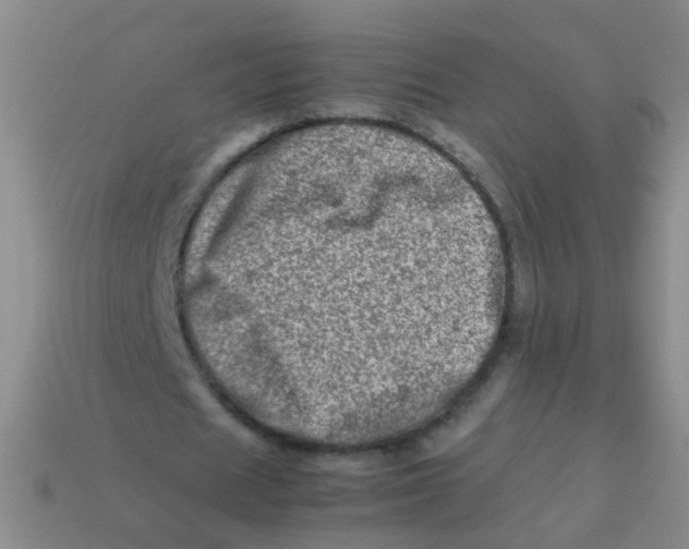 X0000113540625200910161413