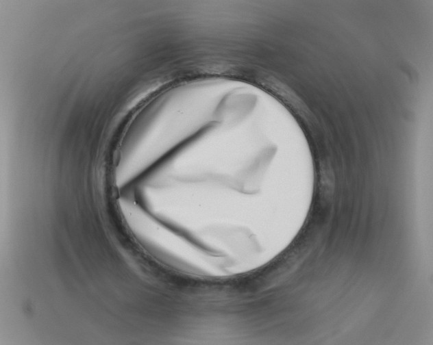X0000113540626200910161413