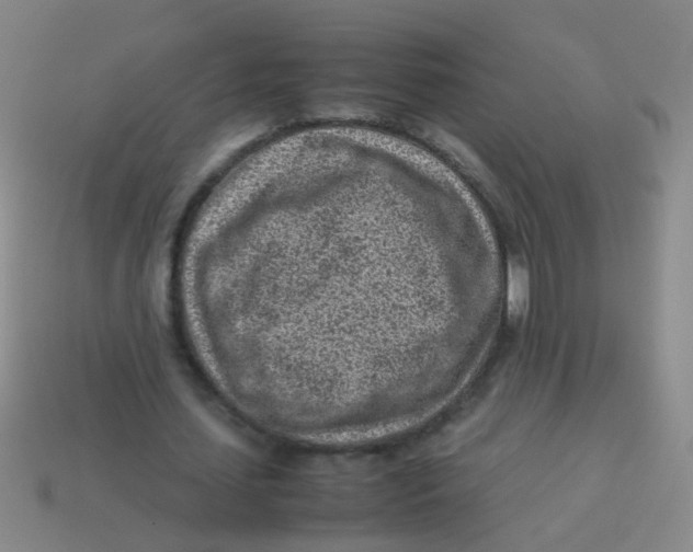 X0000113540627200910161413