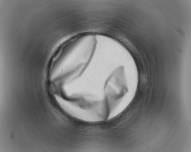 X0000113540628200910161413