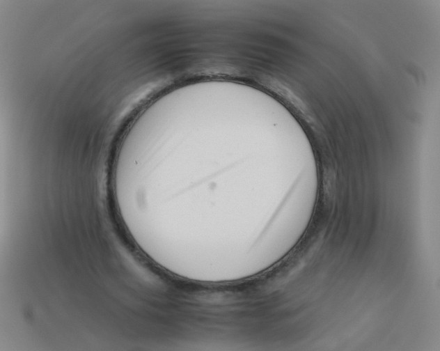 X0000113540629200910161413