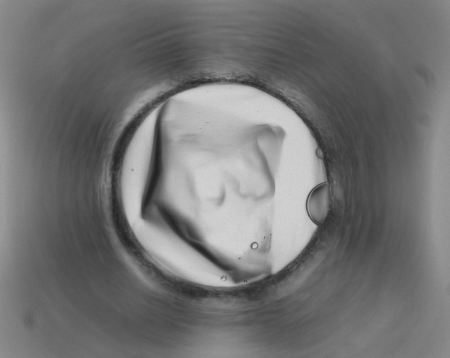 X0000113540630200910161413