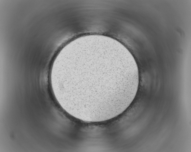 X0000113540632200910161413