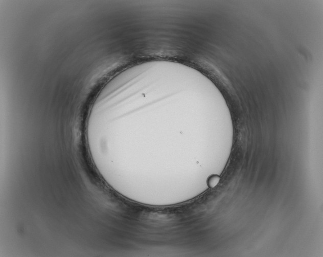 X0000113540635200910161413