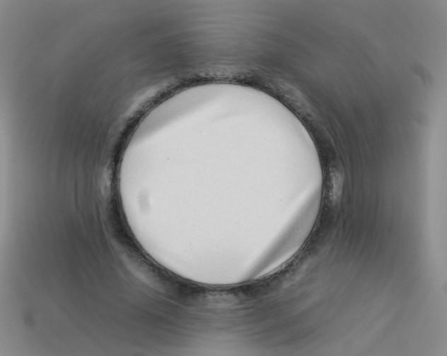 X0000113540636200910161413