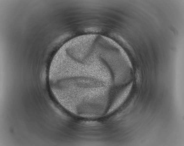 X0000113540637200910161413