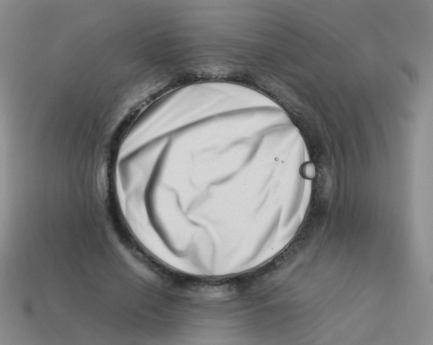 X0000113540638200910161413