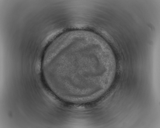 X0000113540640200910161413