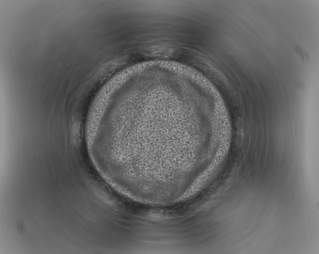 X0000113540641200910161413