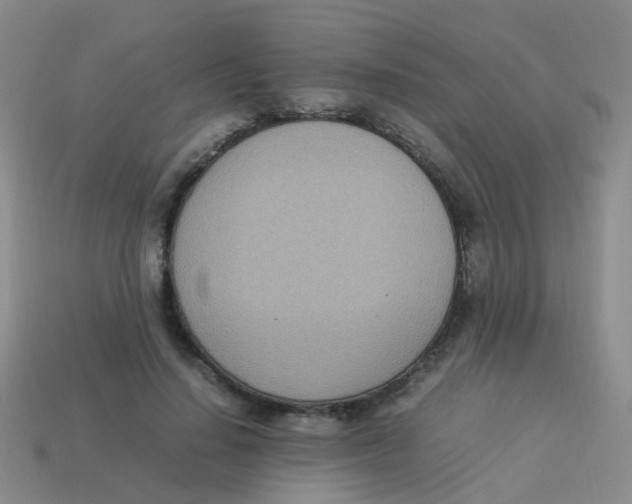 X0000113540644200910161413