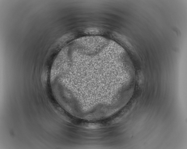 X0000113540645200910161413