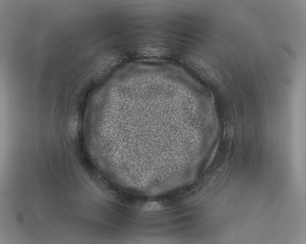 X0000113540647200910161413