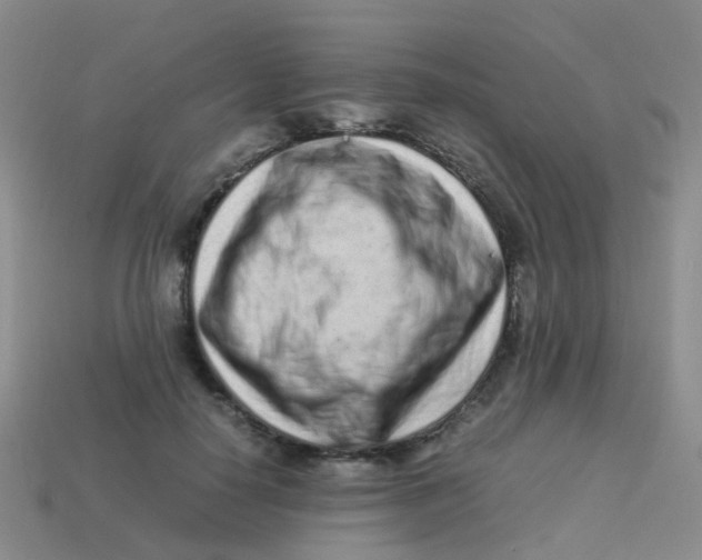 X0000113540650200910161413