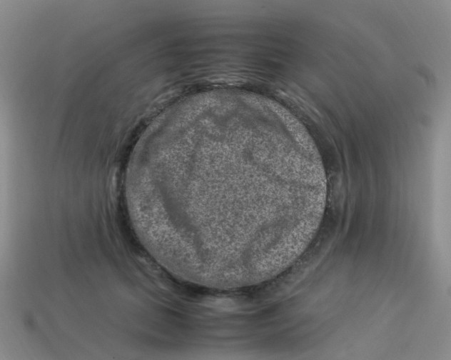 X0000113540655200910161413