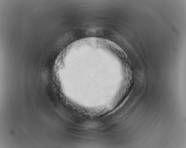 X0000113540659200910161413