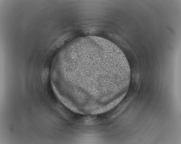 X0000113540660200910161413