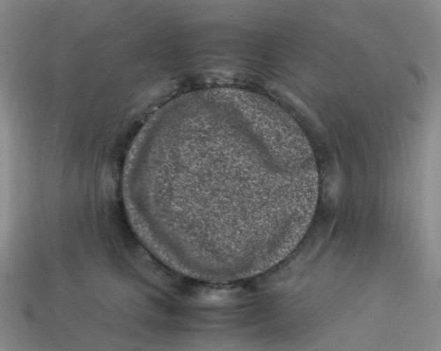X0000113540661200910161413