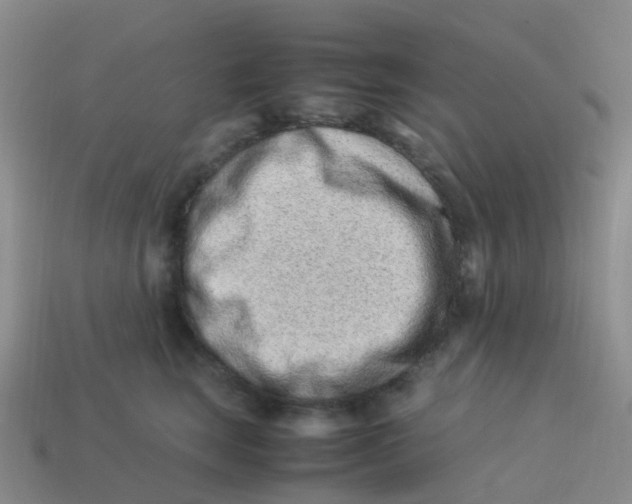 X0000113540663200910161413