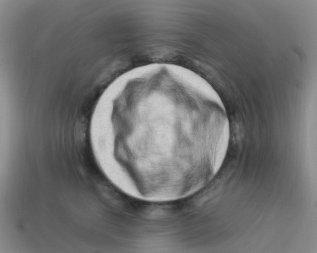 X0000113540664200910161413