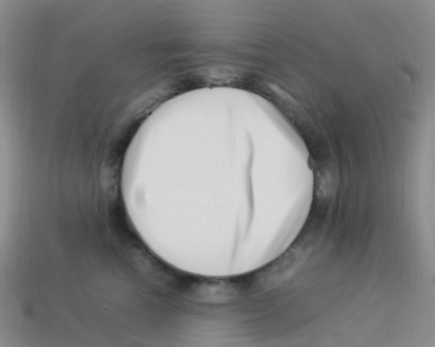 X0000113540666200910161413