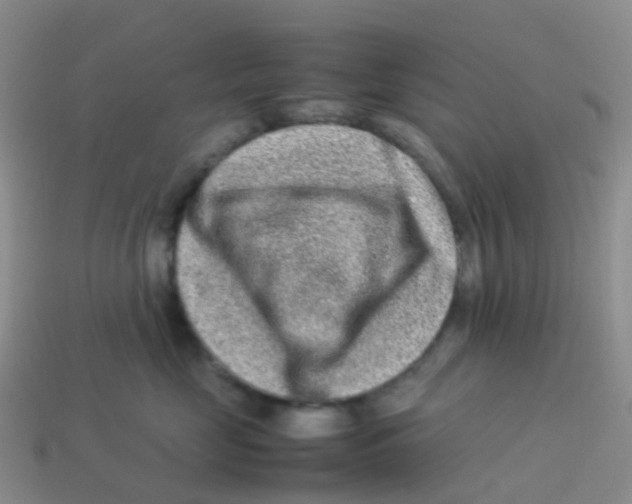 X0000113540669200910161413