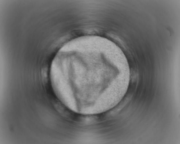 X0000113540670200910161413