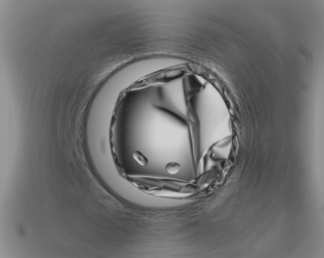 X0000113540673200910161413