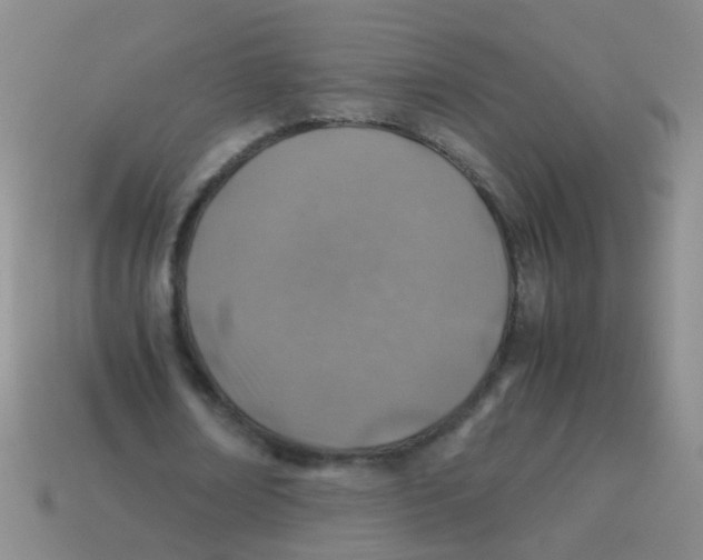 X0000113540674200910161413