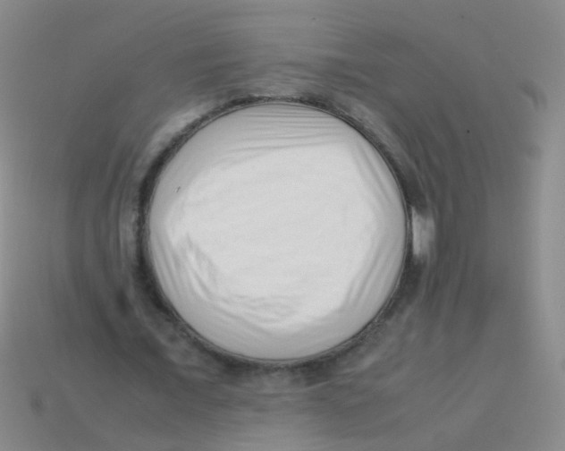 X0000113540675200910161413