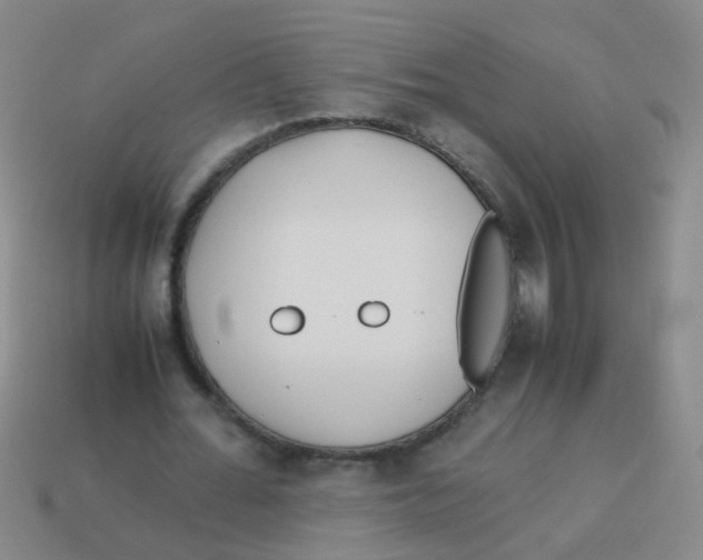 X0000113540676200910161413