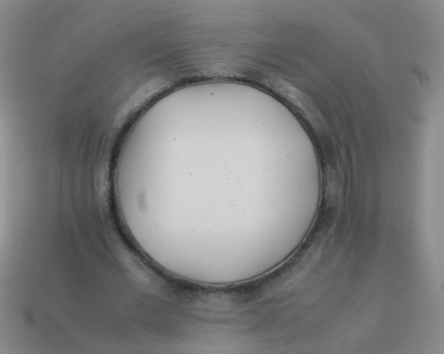 X0000113540677200910161413