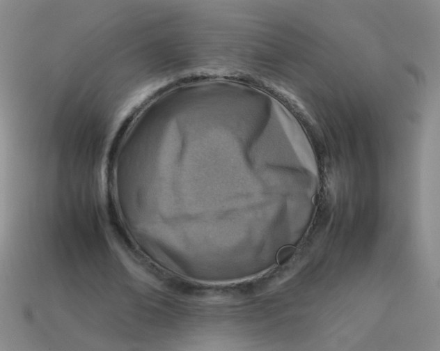 X0000113540678200910161413