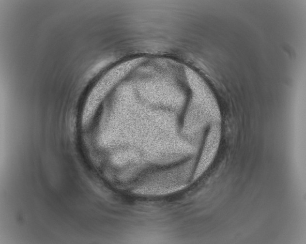 X0000113540679200910161413