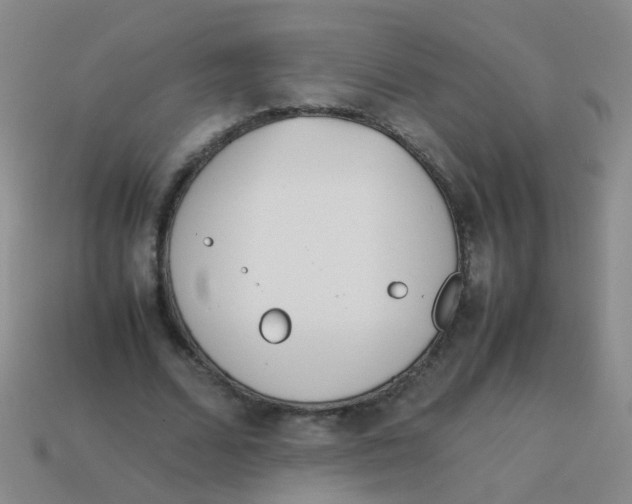 X0000113540680200910161413