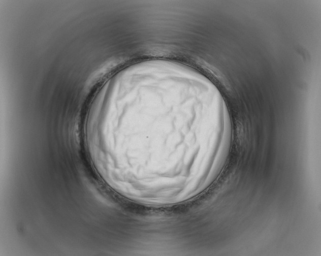 X0000113540682200910161413
