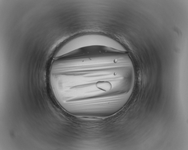 X0000113540684200910161413