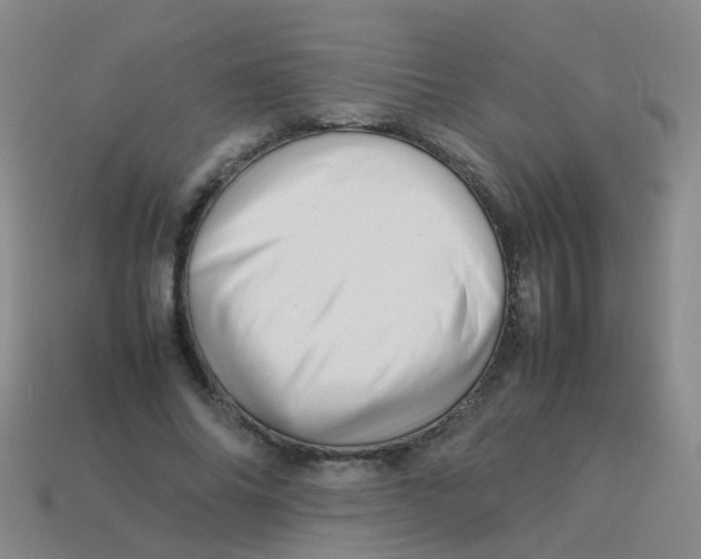 X0000113540686200910161412