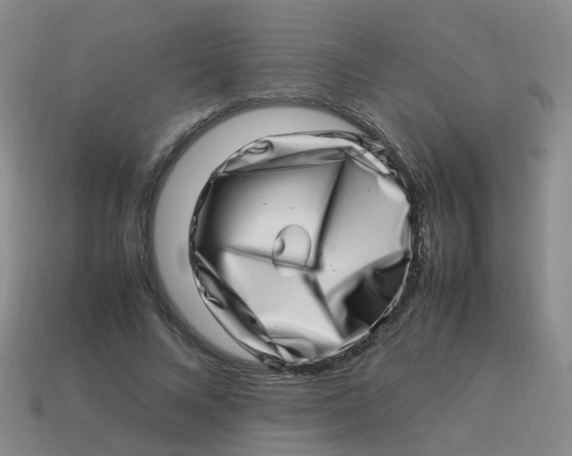 X0000113540688200910161412