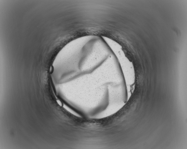 X0000113540689200910161412