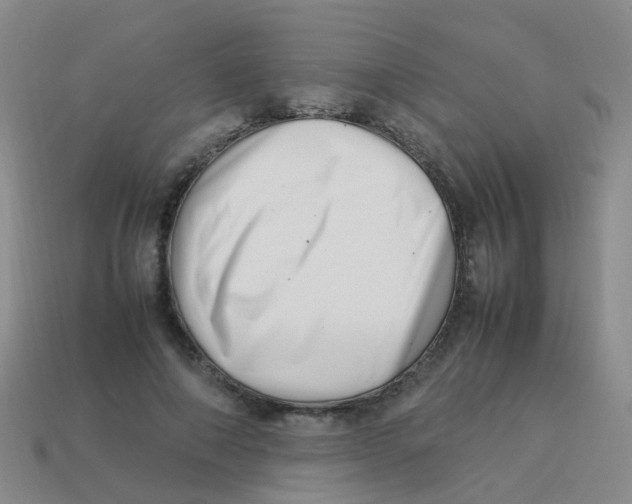 X0000113540690200910161412