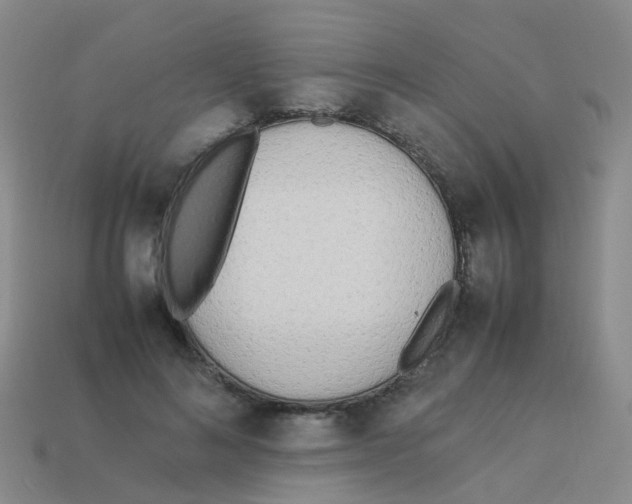 X0000113540692200910161412