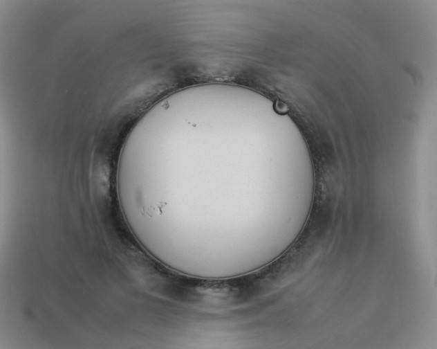 X0000113540693200910161412