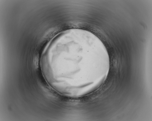 X0000113540694200910161412