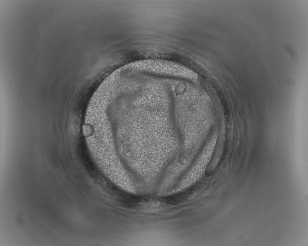 X0000113540695200910161412