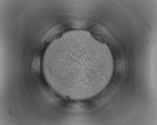 X0000113540696200910161412