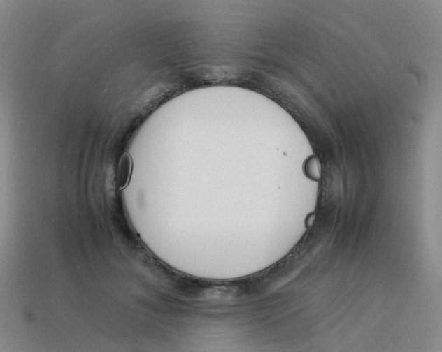 X0000113540700200910161412