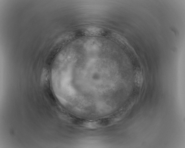 X0000113540701200910161412
