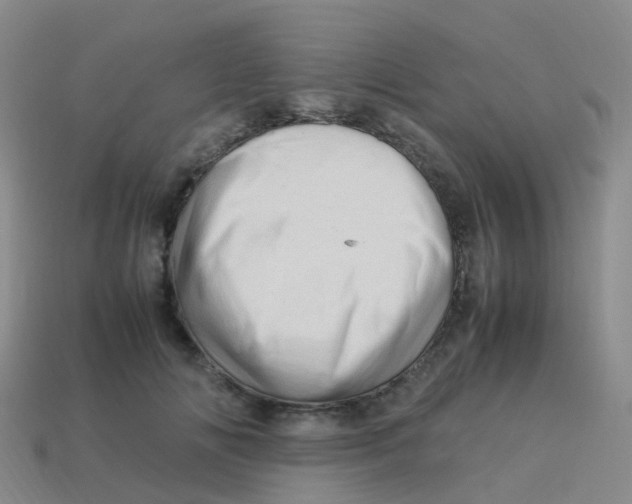 X0000113540702200910161412
