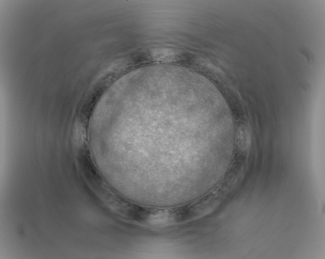 X0000113540705200910161412