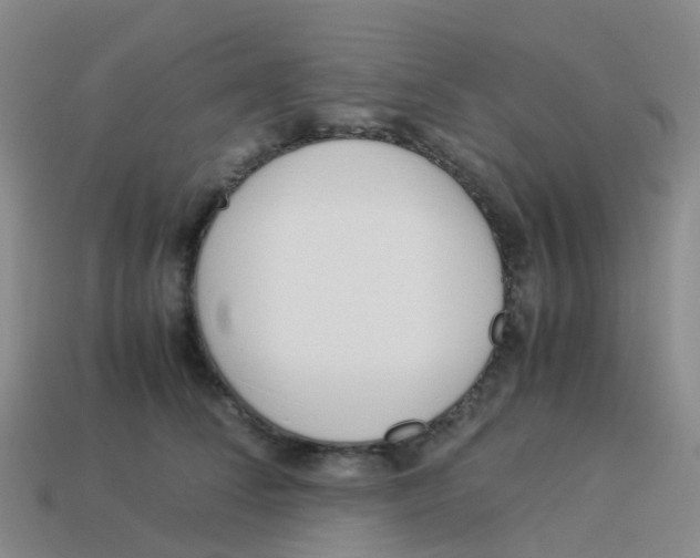 X0000113540708200910161412